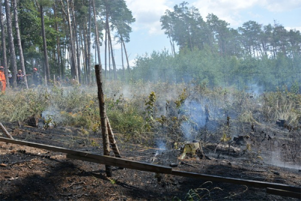 Požár lesní školky u Sudova Hlavna hasil i vrtulník s bambi vakem