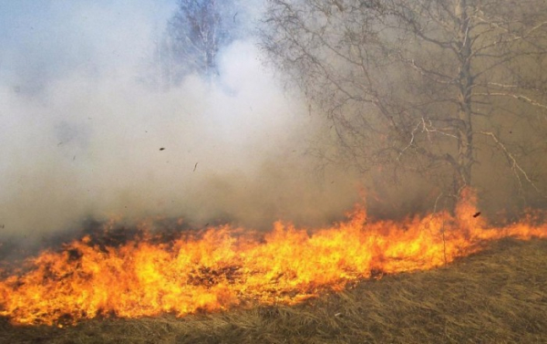 Hydrometeorologický ústav vydal výstrahu: ve Středočeském kraji je nebezpečí požárů!